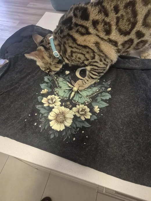 DIYPRINT customer review photo